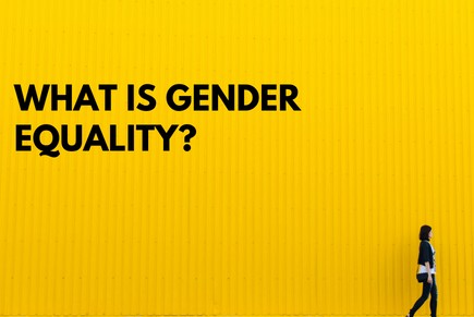 Redefining Gender Equality